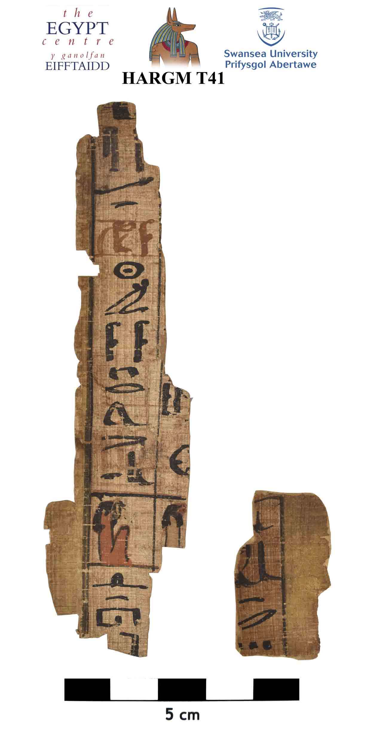 Image for: Papyrus